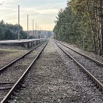 Geometrías Lineales